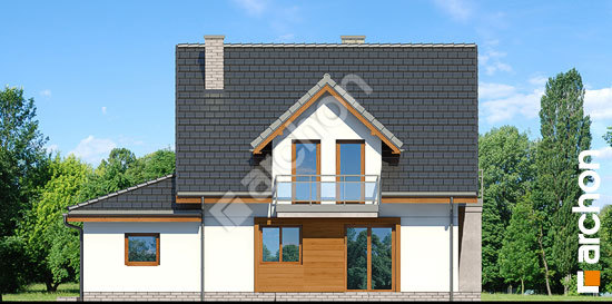 Дворовий фасад Будинок в рододендронах 22