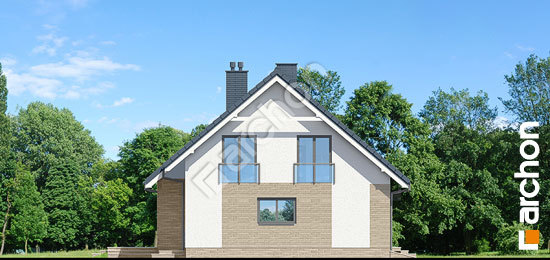 Бочний фасад Будинок в аурорах (Г2)