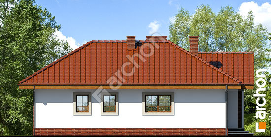 Бочний фасад Будинок в ерагростісах вер. 2