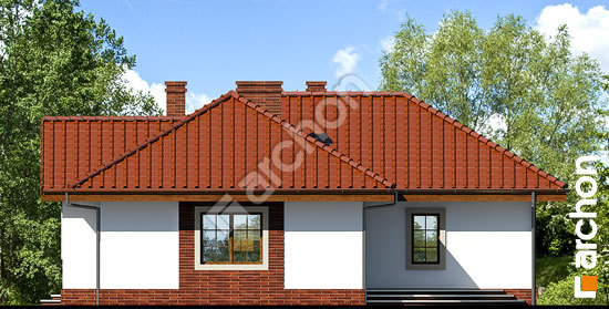 Боковой фасад Дом в эрагростисах вер. 2