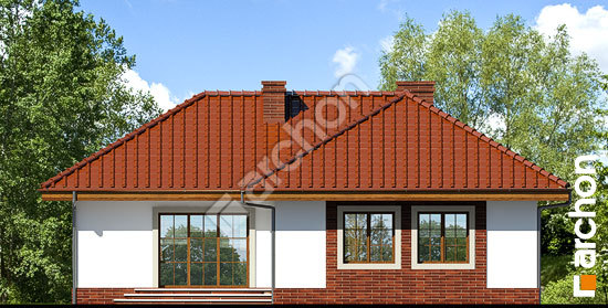 Дворовий фасад Будинок в ерагростісах вер. 2