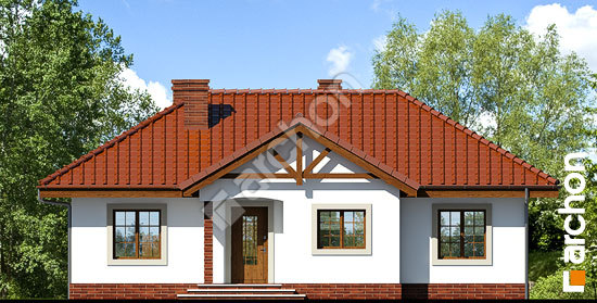 Передній фасад Будинок в ерагростісах вер. 2