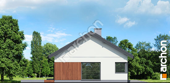 Боковой фасад Дом в липенниках (Г)