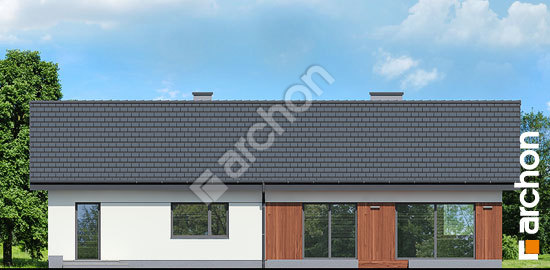 Дворовой фасад Дом в липенниках (Г)