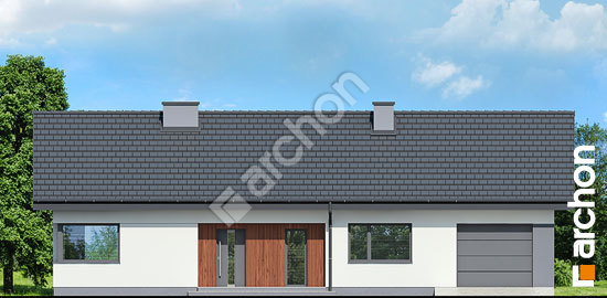 Передній фасад Будинок в липниках (Г)