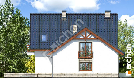 Боковой фасад Дом в тамарисках 8 (П)