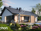 Проект дома ARCHON+ Дом в ирисе 2 додаткова візуалізація