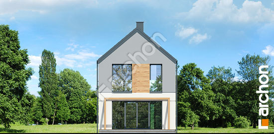 Дворовой фасад Дом в ривиях 11