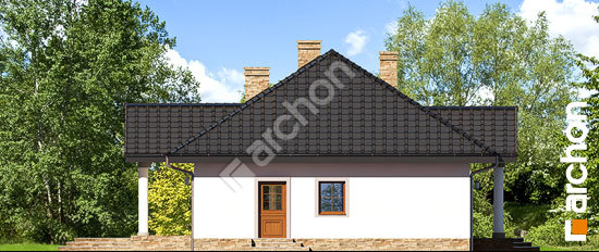 Бочний фасад Будинок в гаурах 5