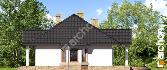 Боковой фасад Дом в гаурах 5