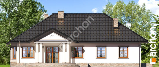 Дворовий фасад Будинок в гаурах 5