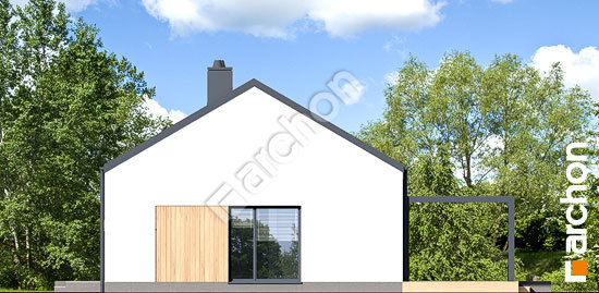 Бочний фасад Будинок в ірисах 7