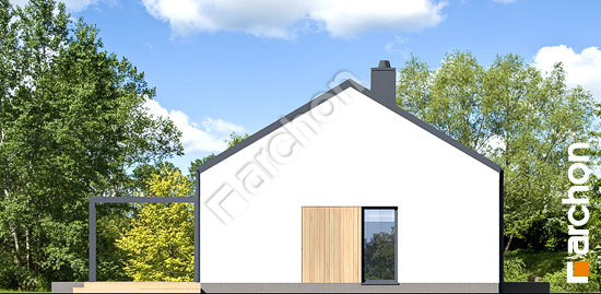 Боковой фасад Дом в ирисе 7