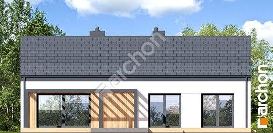 Дворовий фасад Будинок в ірисах 7