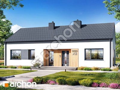 Проєкт будинку ARCHON+ Будинок в ірисах 7 