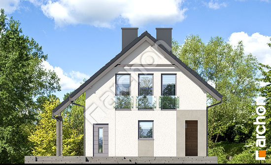 Бочний фасад Будинок в цитринках (В)