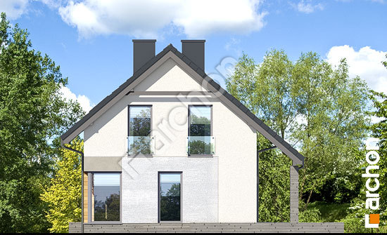 Боковой фасад Дом в цитринках (В)