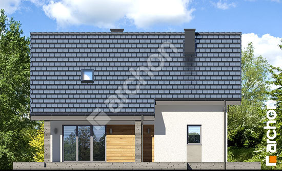 Дворовой фасад Дом в цитринках (В)