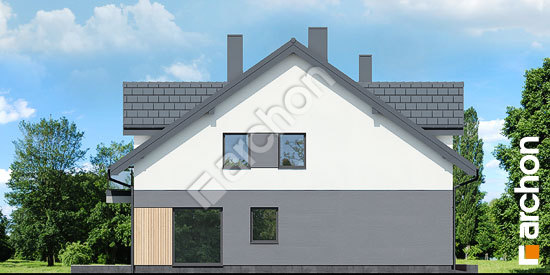 Бочний фасад Будинок під гінко (ГР2А)