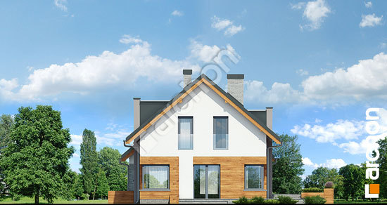 Бочний фасад Будинок в молініях (Г2)