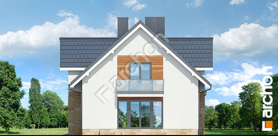 Бочний фасад Будинок в лобеліях 5