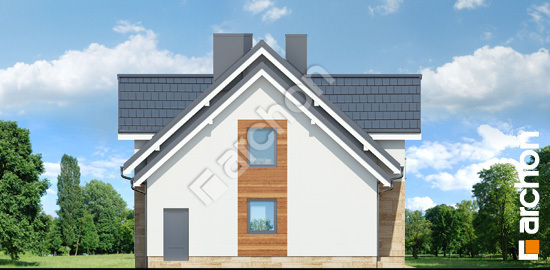 Бочний фасад Будинок в лобеліях 5