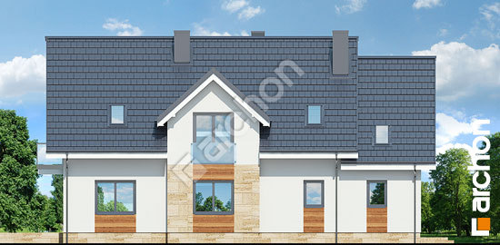 Дворовий фасад Будинок в лобеліях 5