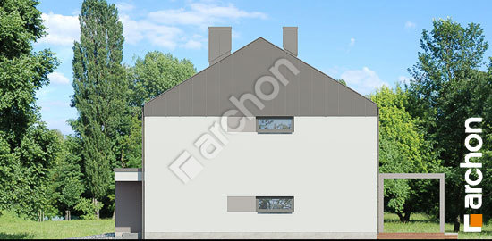 Бочний фасад Будинок в нарцисах (А)