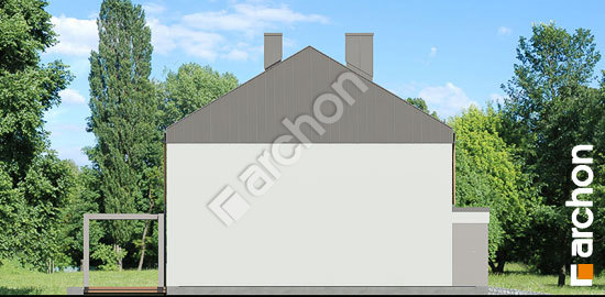 Боковой фасад Дом в нарциссах (А)