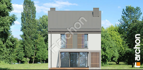 Дворовий фасад Будинок в нарцисах (А)