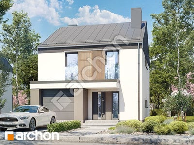 Проєкт будинку ARCHON+ Будинок в нарцисах (А) 