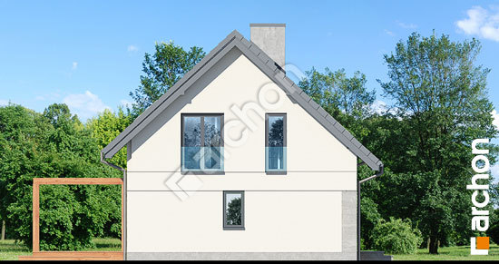 Боковой фасад Дом в хлорофитуме 8