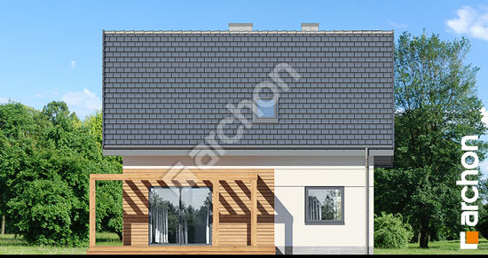 Дворовий фасад Будинок в хлорофітумі 8