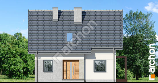 Передній фасад Будинок в хлорофітумі 8