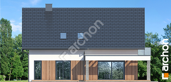 Дворовой фасад Дом в нефрисах 2 (Г2Е) ВИЭ