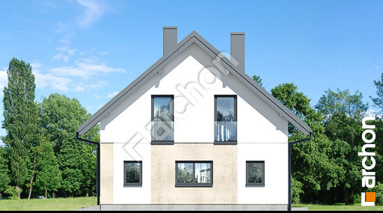 Бочний фасад Будинок в ізопірумі 8