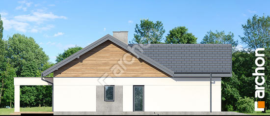 Боковой фасад Дом в цикории