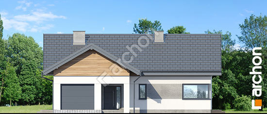 Передній фасад Будинок в цикорії