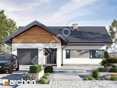 Проект дома ARCHON+ Дом в цикории 