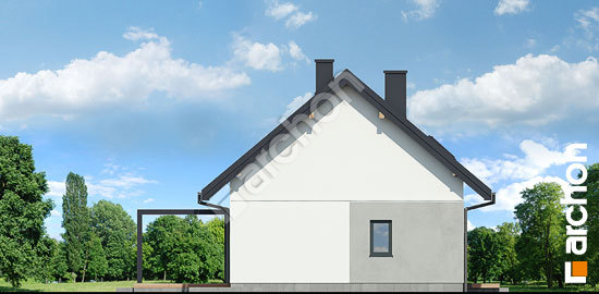 Бочний фасад Будинок в смородині 2