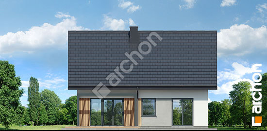 Дворовий фасад Будинок в смородині 2