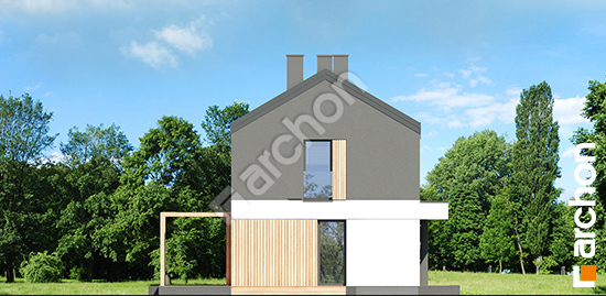 Боковой фасад Дом в эверниях (Р2) вер.2