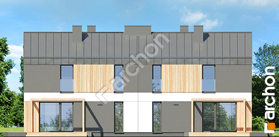 Дворовой фасад Дом в эверниях (Р2) вер.2