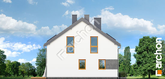 Боковой фасад Дом в аркадиях (БТ)