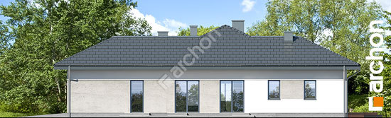 Бочний фасад Будинок в підсніжниках 6 (Г2)