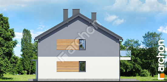 Бочний фасад Будинок в фіалках 9 (Р2Б) вер.3