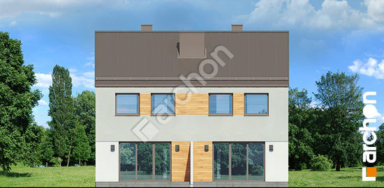 Дворовий фасад Будинок в рівіях (Р2)