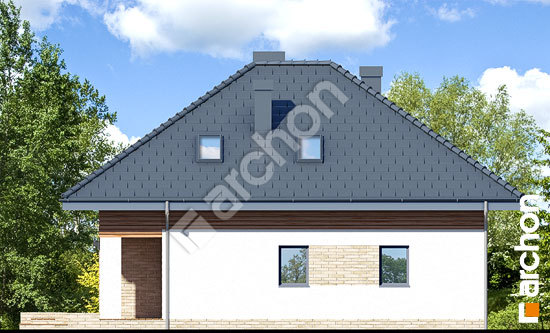 Боковой фасад Дом в сирени (М) вер.2