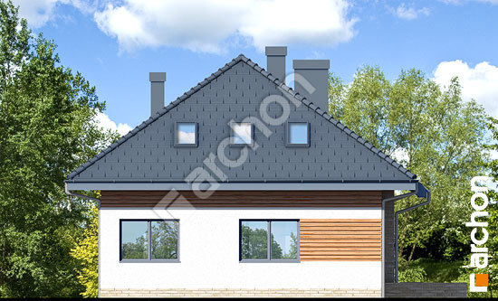 Дворовой фасад Дом в сирени (М) вер.2