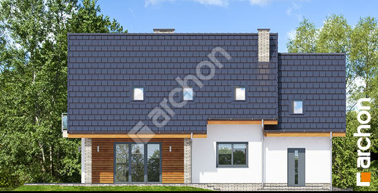 Дворовой фасад Дом в красных кустах (Т)